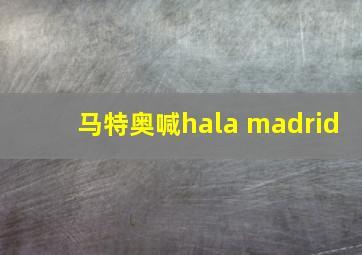 马特奥喊hala madrid